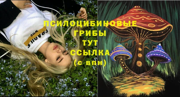 прущий лед Армянск