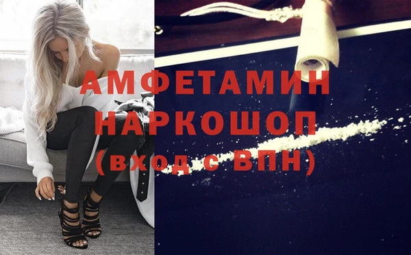 дмт Пересвет