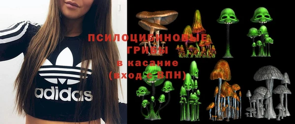 мдпв Переславль-Залесский